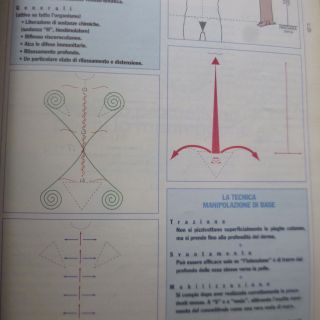 kembiki nota lne